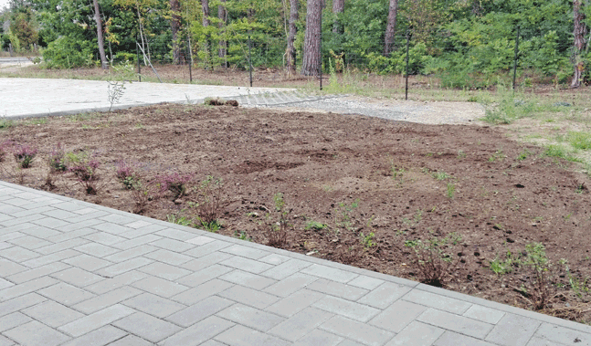 gartenerde günstig kaufen