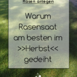 Erstmal Rasen: Im Herbst wird ausgesät