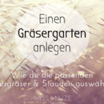 Gartengestaltung mit Gräsern