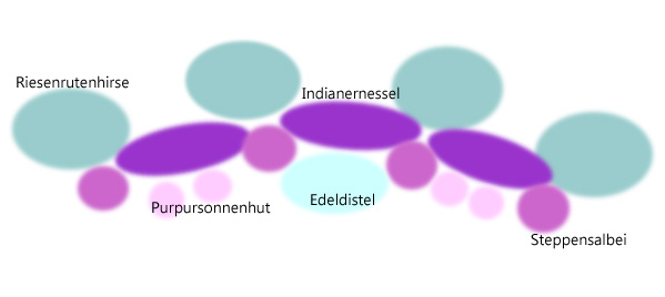 Gartengestaltung mit Gräsern