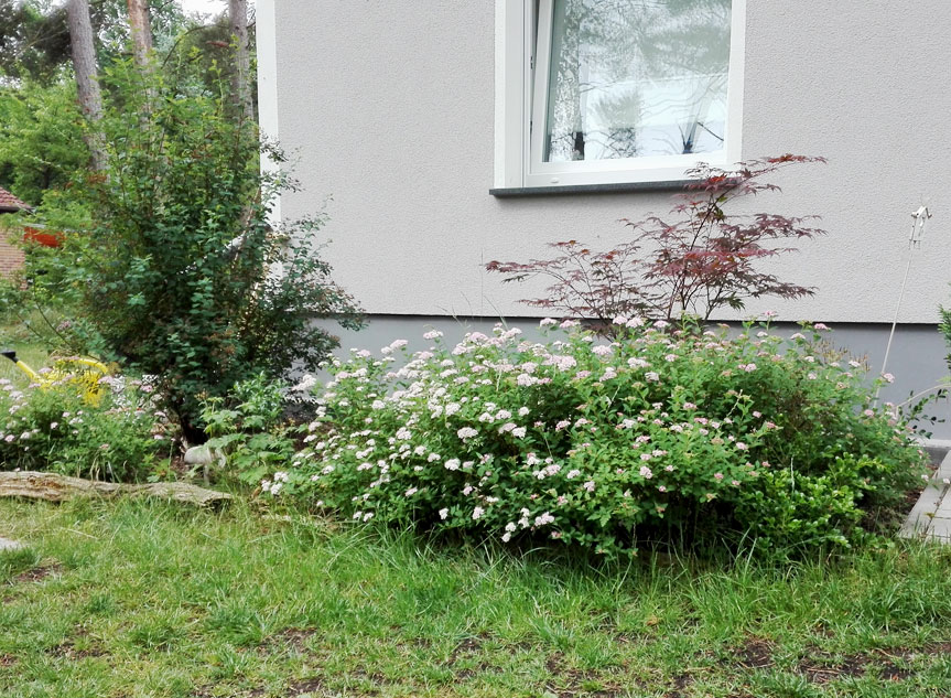 Sichtschutz Garten