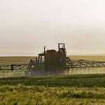 Roundup in aller Munde