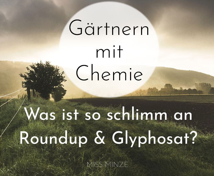 Roundup für Hobbygärtner: Was ist so schlimm an Glyphosat? Und: Hat es auch Vorteile?