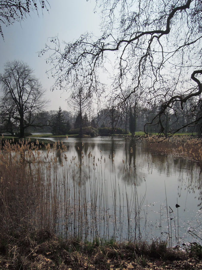 schlosspark wiesenburg