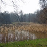 Wo sich Fuchs und Hase Gute Nacht sagen