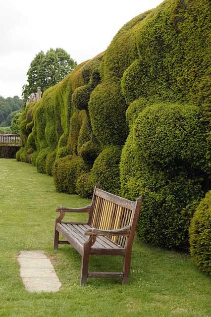 natürlicher Sichtschutz Garten