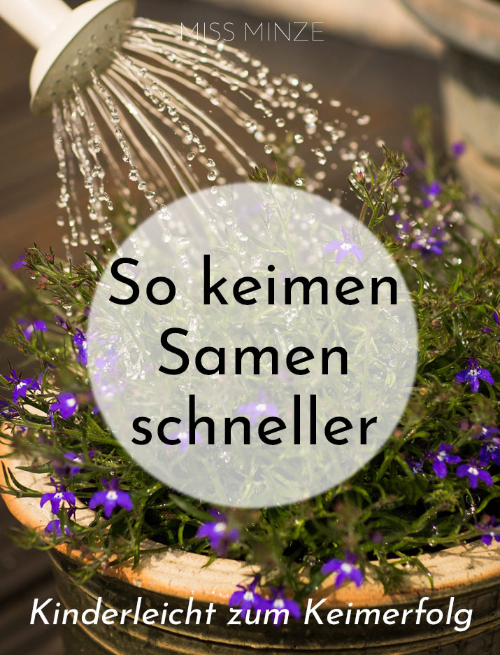 samen zum keimen bringen