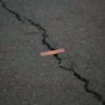 schäfchen im Ttrockenen rezension