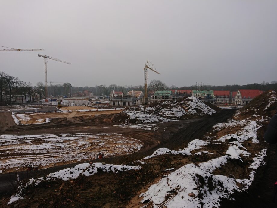 Kübelpflanzen