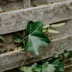 Gartenzaun aufstellen Anleitung