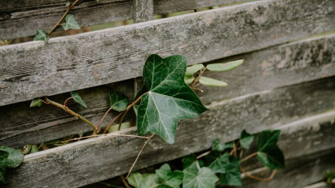 Gartenzaun aufstellen Anleitung