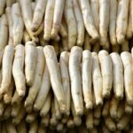 erntehelfer spargel beelitz