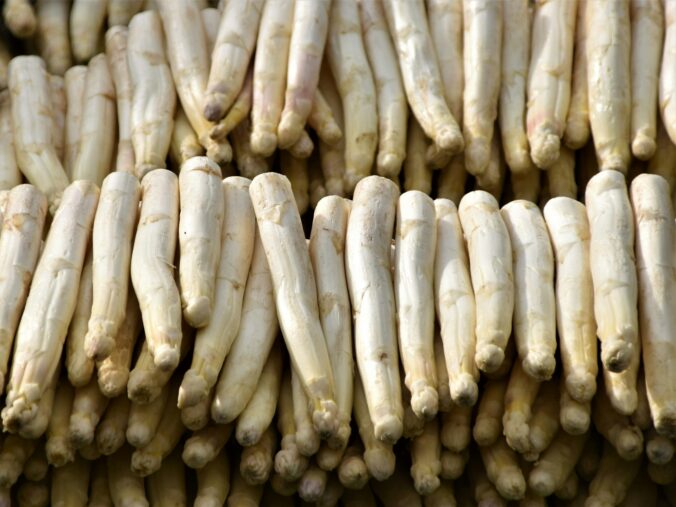 erntehelfer spargel beelitz