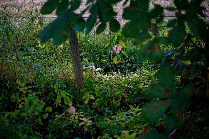 serien über eskalation