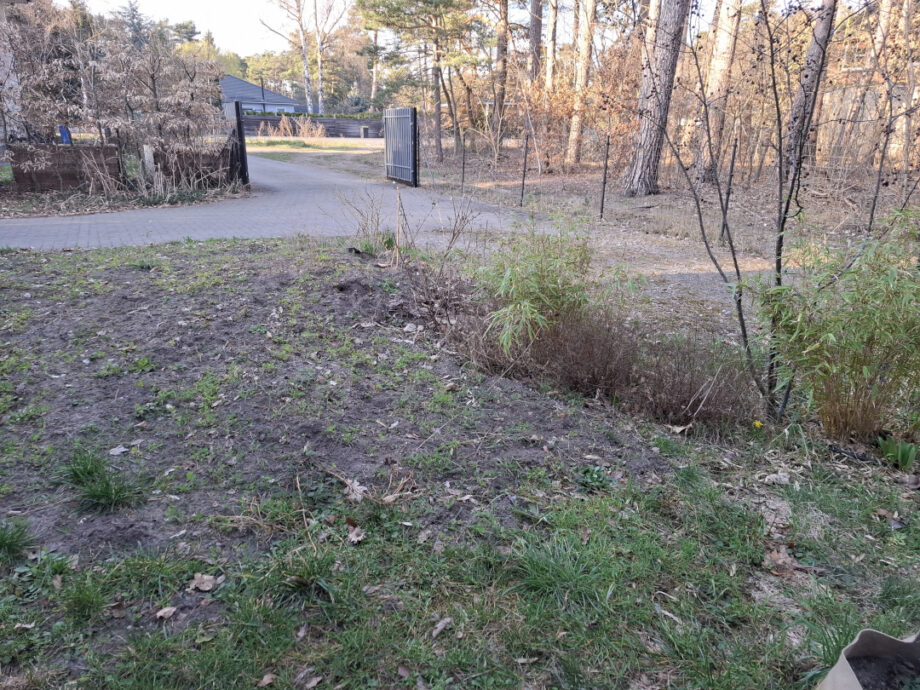 KI Gartengestaltung kostenlos