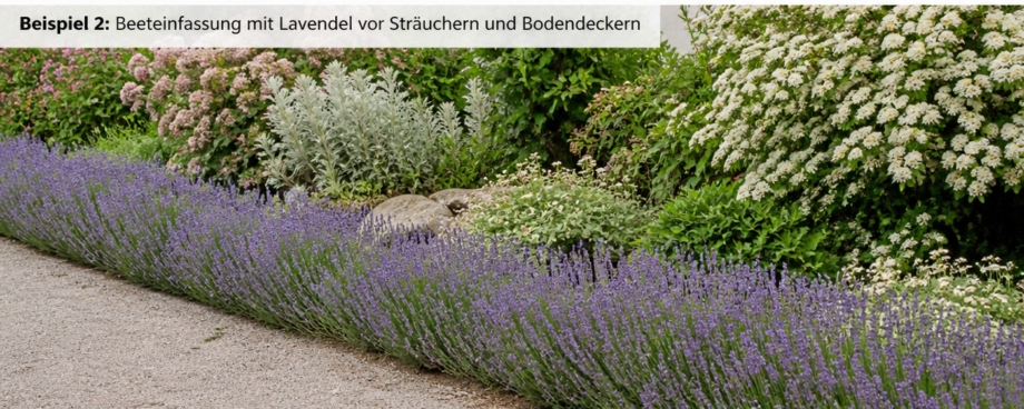 mediterrane Kräuter als Beeteinfassung