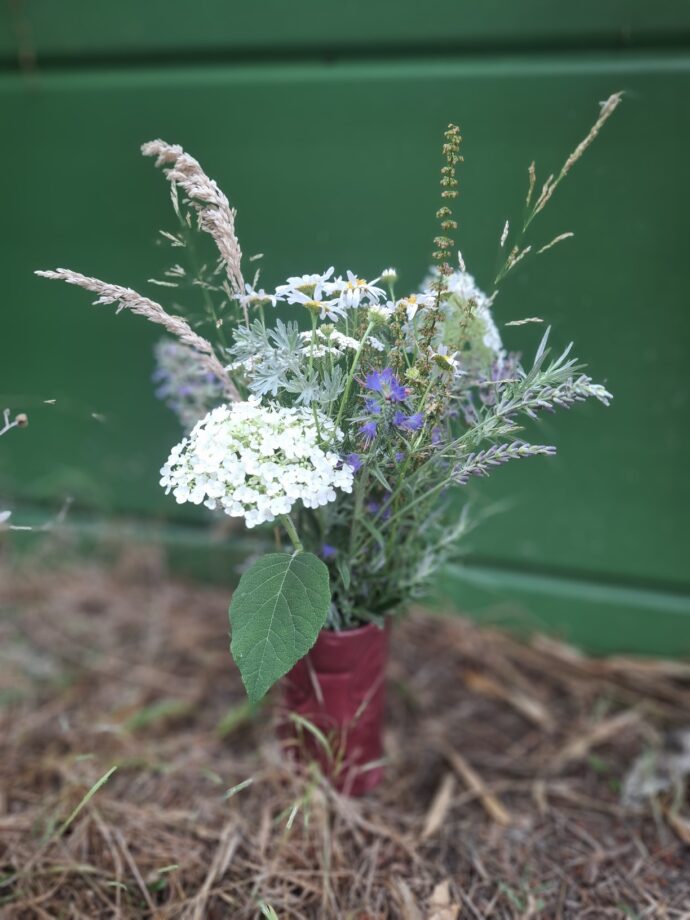 Wiesenblumen
